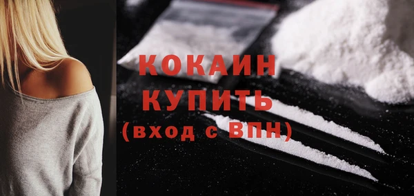 spice Богородск