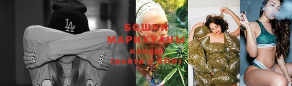 мяу мяу кристалл Богданович