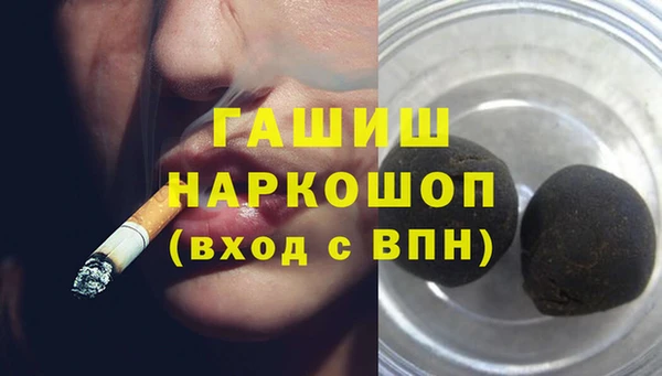 spice Богородск