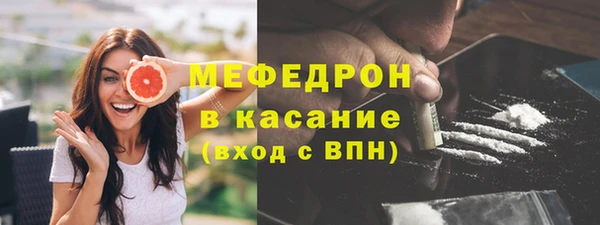 spice Богородск