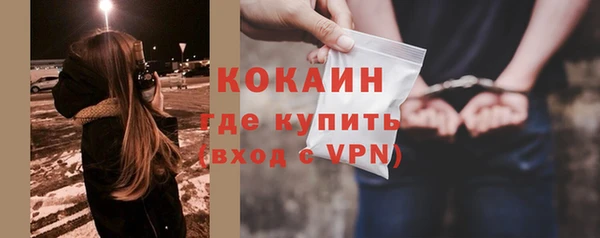 spice Богородск
