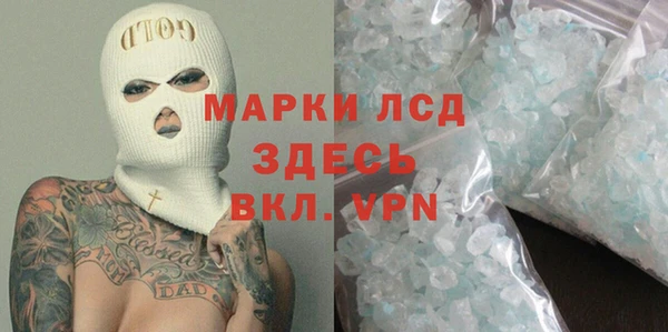 spice Богородск