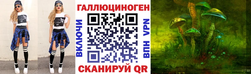 Галлюциногенные грибы мицелий где можно купить Шарыпово